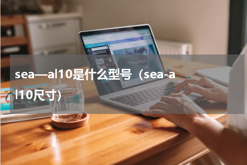 sea—al10是什么型号（sea-al10尺寸）