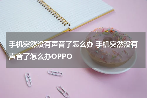 手机突然没有声音了怎么办 手机突然没有声音了怎么办OPPO