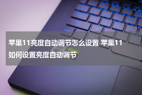 苹果11亮度自动调节怎么设置 苹果11如何设置亮度自动调节