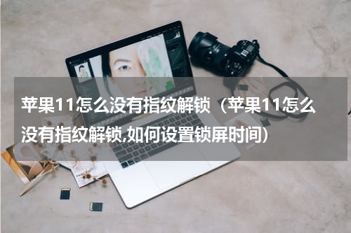 苹果11怎么没有指纹解锁（苹果11怎么没有指纹解锁,如何设置锁屏时间）