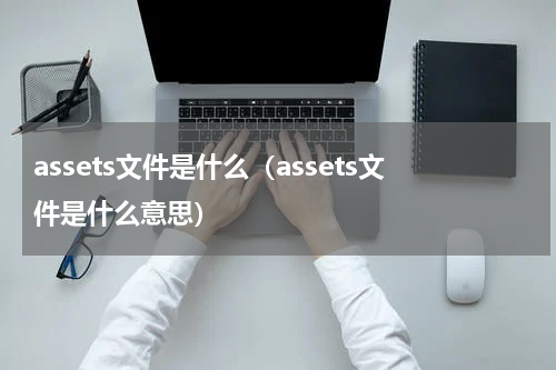 assets文件是什么（assets文件是什么意思）