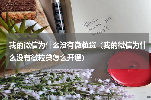 我的微信为什么没有微粒贷（我的微信为什么没有微粒贷怎么开通）