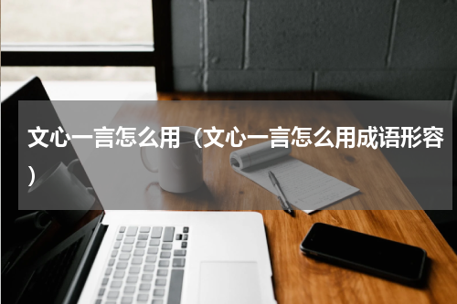 文心一言怎么用（文心一言怎么用成语形容）