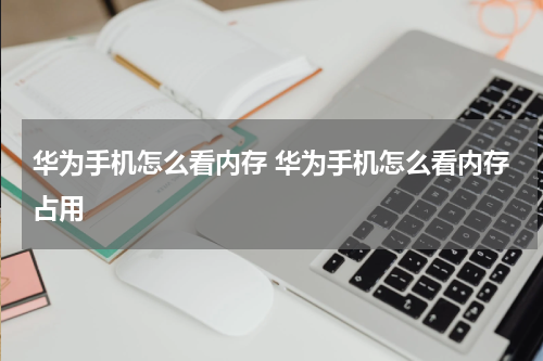 华为手机怎么看内存 华为手机怎么看内存占用
