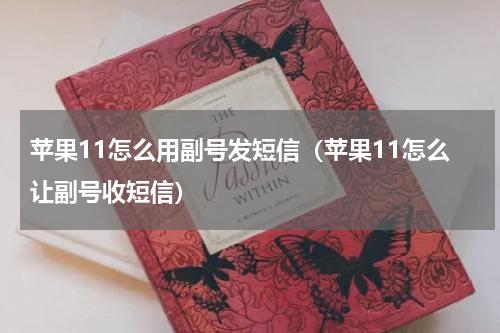 苹果11怎么用副号发短信（苹果11怎么让副号收短信）