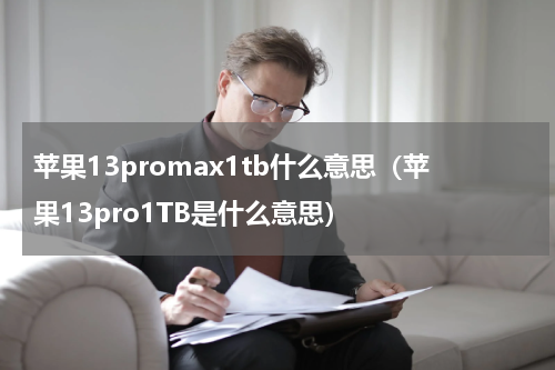苹果13promax1tb什么意思（苹果13pro1TB是什么意思）