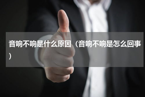 音响不响是什么原因（音响不响是怎么回事）