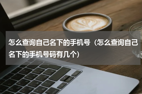怎么查询自己名下的手机号（怎么查询自己名下的手机号码有几个）