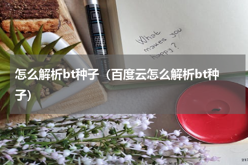 怎么解析bt种子（百度云怎么解析bt种子）