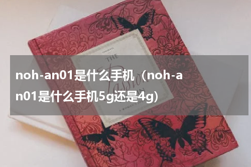 noh-an01是什么手机（noh-an01是什么手机5g还是4g）