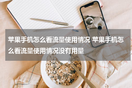 苹果手机怎么看流量使用情况 苹果手机怎么看流量使用情况没有用量