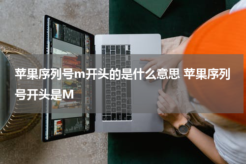 苹果序列号m开头的是什么意思 苹果序列号开头是M