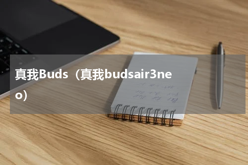 真我Buds（真我budsair3neo）
