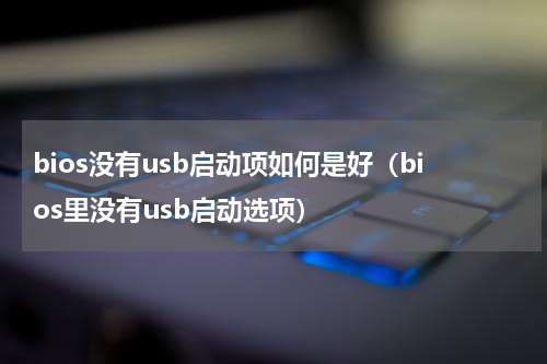 bios没有usb启动项如何是好（bios里没有usb启动选项）