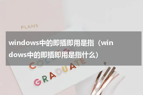 windows中的即插即用是指（windows中的即插即用是指什么）