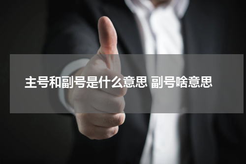 主号和副号是什么意思 副号啥意思