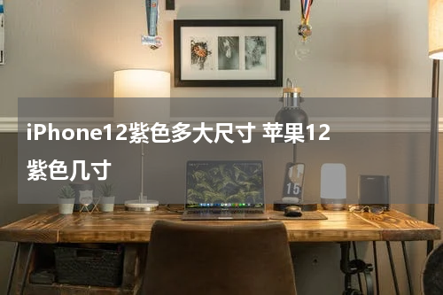 iPhone12紫色多大尺寸 苹果12紫色几寸