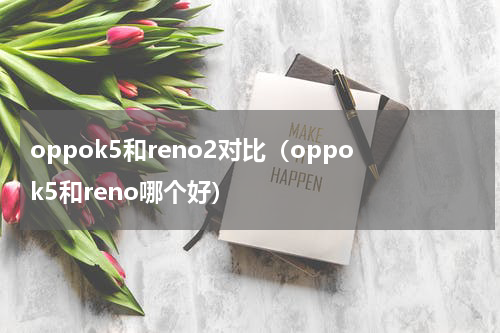 oppok5和reno2对比（oppok5和reno哪个好）