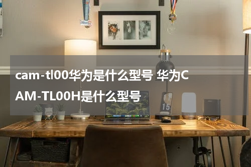 cam-tl00华为是什么型号 华为CAM-TL00H是什么型号