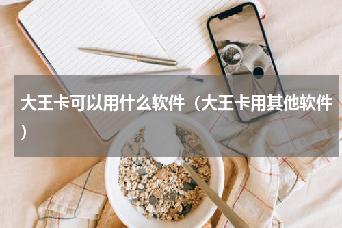 大王卡可以用什么软件（大王卡用其他软件）