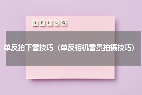 单反拍下雪技巧（单反相机雪景拍摄技巧）
