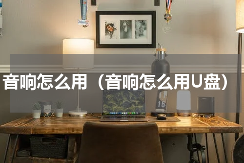 音响怎么用（音响怎么用U盘）