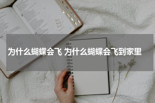 为什么蝴蝶会飞 为什么蝴蝶会飞到家里