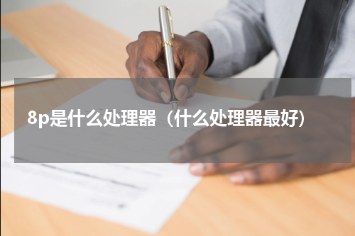 8p是什么处理器（什么处理器最好）