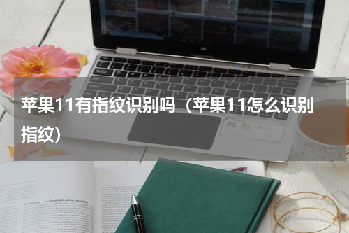 苹果11有指纹识别吗（苹果11怎么识别指纹）