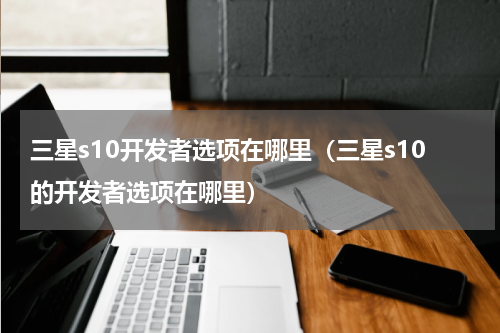 三星s10开发者选项在哪里（三星s10的开发者选项在哪里）