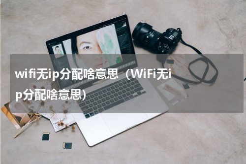 wifi无ip分配啥意思（WiFi无ip分配啥意思）