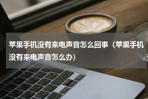 苹果手机没有来电声音怎么回事（苹果手机没有来电声音怎么办）