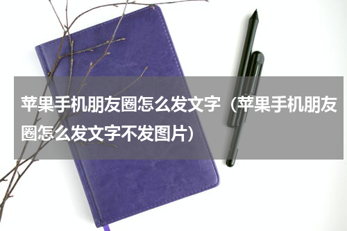 苹果手机朋友圈怎么发文字（苹果手机朋友圈怎么发文字不发图片）