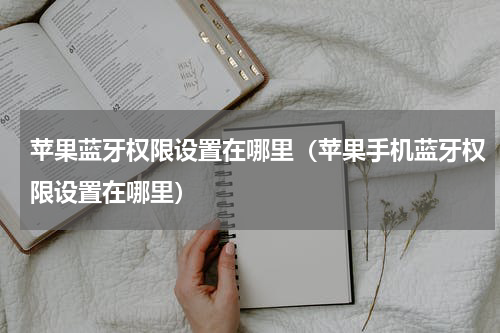 苹果蓝牙权限设置在哪里（苹果手机蓝牙权限设置在哪里）