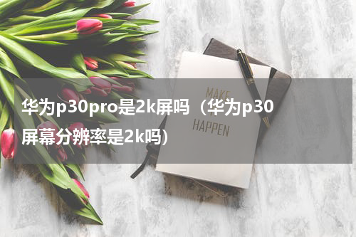 华为p30pro是2k屏吗（华为p30屏幕分辨率是2k吗）