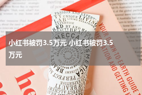 小红书被罚3.5万元 小红书被罚3.5万元