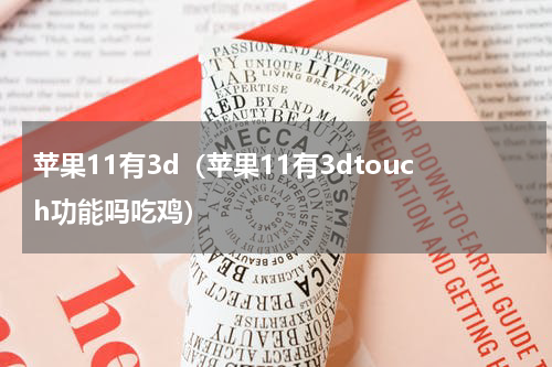 苹果11有3d（苹果11有3dtouch功能吗吃鸡）
