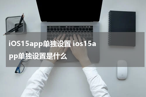 iOS15app单独设置 ios15app单独设置是什么