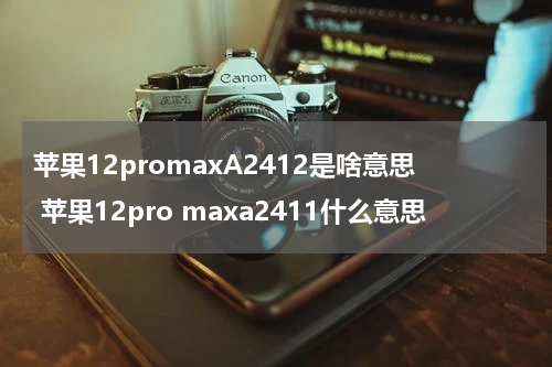 苹果12promaxA2412是啥意思 苹果12pro maxa2411什么意思