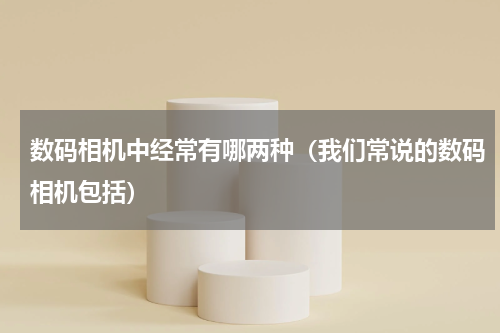 数码相机中经常有哪两种（我们常说的数码相机包括）