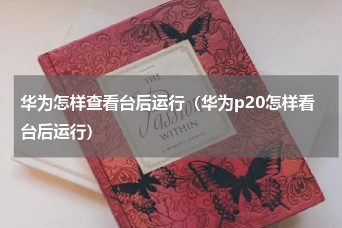 华为怎样查看台后运行（华为p20怎样看台后运行）