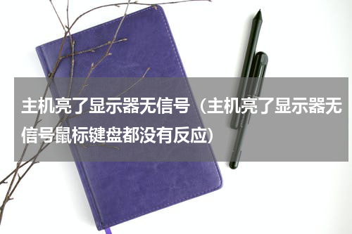 主机亮了显示器无信号（主机亮了显示器无信号鼠标键盘都没有反应）