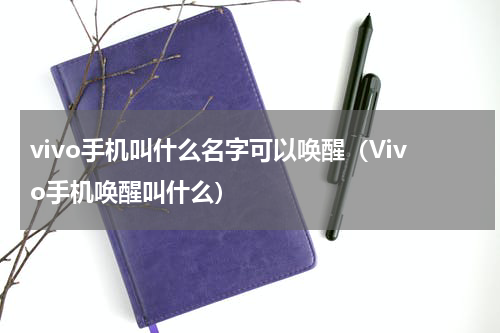 vivo手机叫什么名字可以唤醒（Vivo手机唤醒叫什么）
