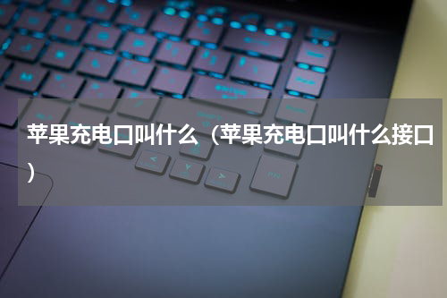 苹果充电口叫什么（苹果充电口叫什么接口）