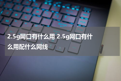 2.5g网口有什么用 2.5g网口有什么用配什么网线