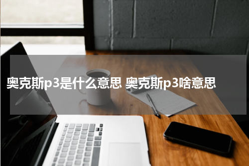 奥克斯p3是什么意思 奥克斯p3啥意思