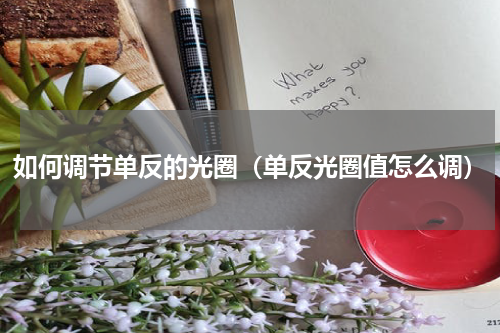 如何调节单反的光圈（单反光圈值怎么调）