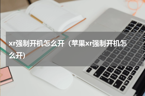 xr强制开机怎么开（苹果xr强制开机怎么开）