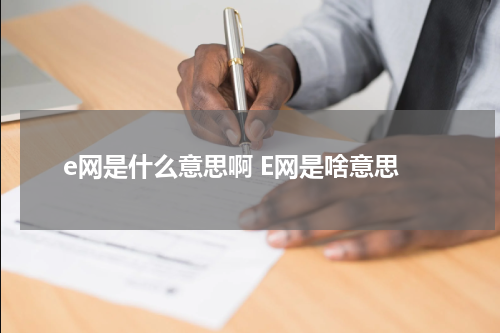 e网是什么意思啊 E网是啥意思