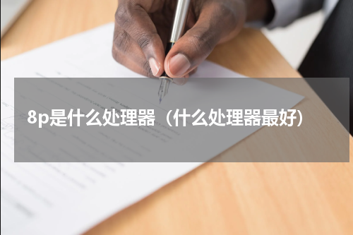 8p是什么处理器（什么处理器最好）